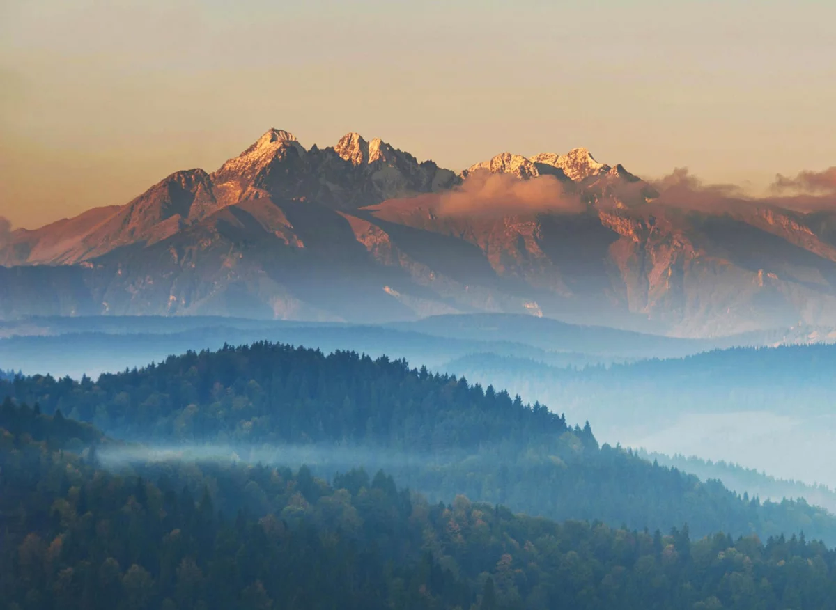 Ale jak kupić dobry inwerter?