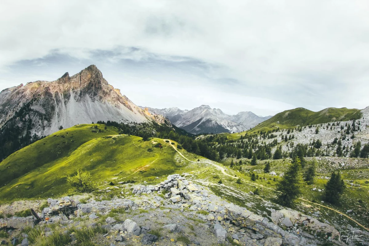 Dentysta w centrum uwagi - krótko i na temat