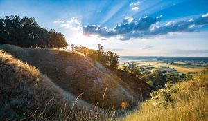 profilaktyka w stomatologii