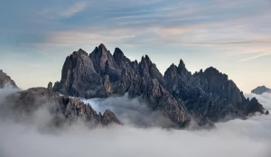 Ogólnie o stomatologii