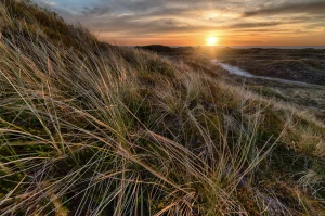 Dlaczego warto chodzić do dentysty?