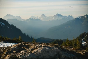 Czy zjeść w restauracji jest trudno?